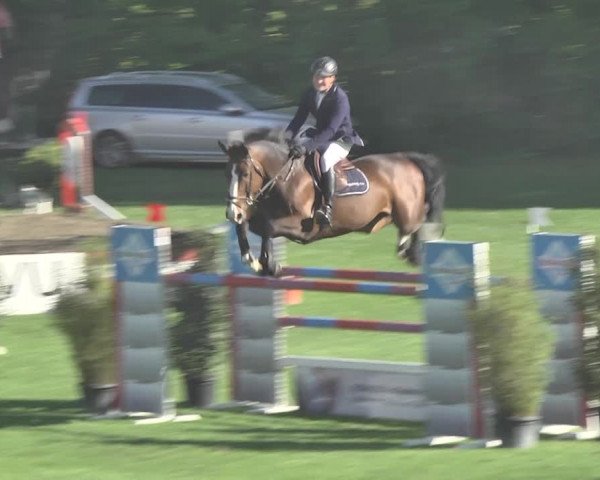 Reitturnier Uster 2018