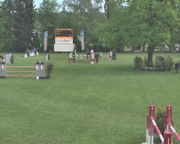 Reitturnier Uster 2018