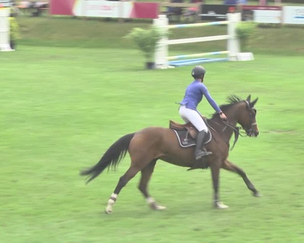 Reitturnier Uster 2018