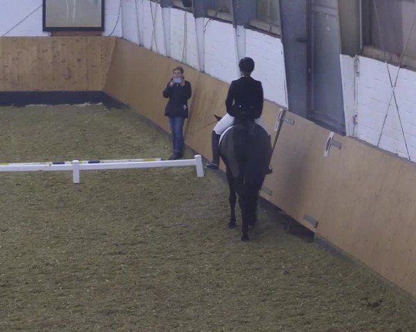 Reitturnier Datteln 2021