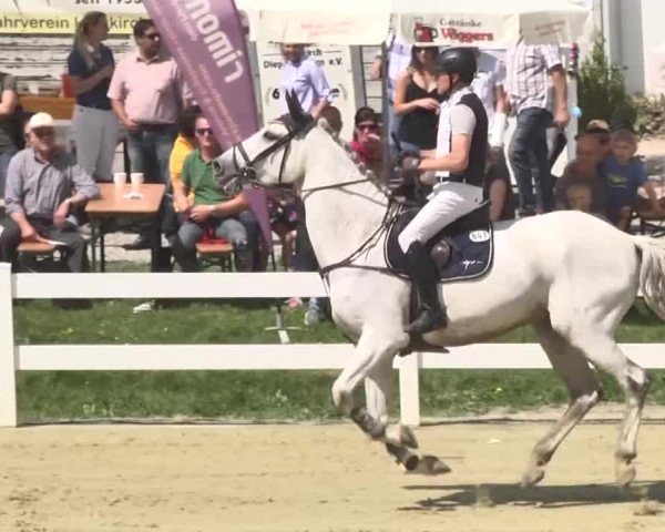 Reitturnier Leutkirch-Diepoldshofen 2018
