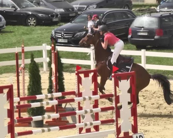 Reitturnier Leutkirch-Diepoldshofen 2018