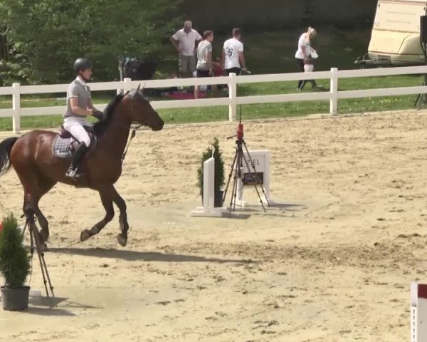 Reitturnier Leutkirch-Diepoldshofen 2018