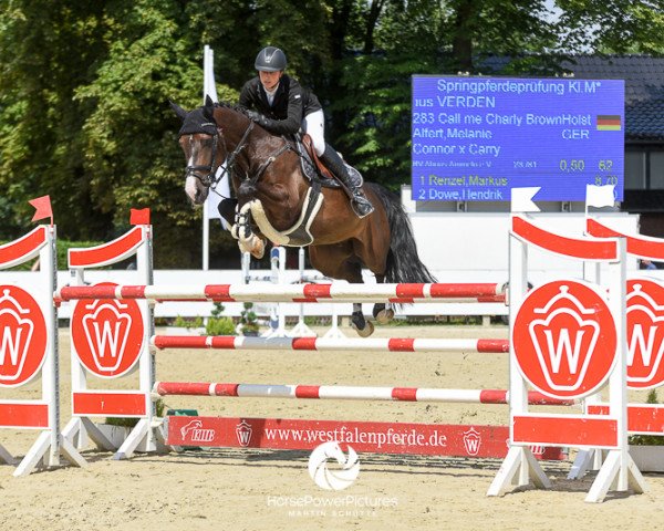 Springpferd Call Me Charly Brown (Holsteiner, 2011, von Connor 48)