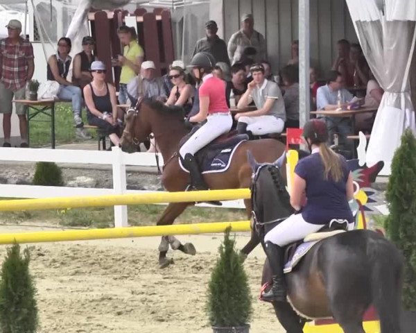 Reitturnier Leutkirch-Diepoldshofen 2018