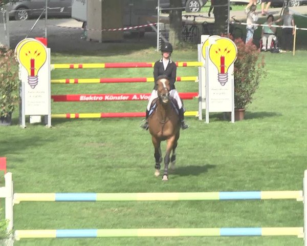 Reitturnier Uster 2018