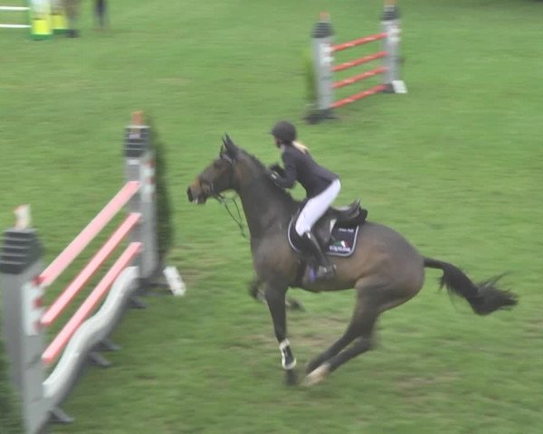Reitturnier Uster 2018