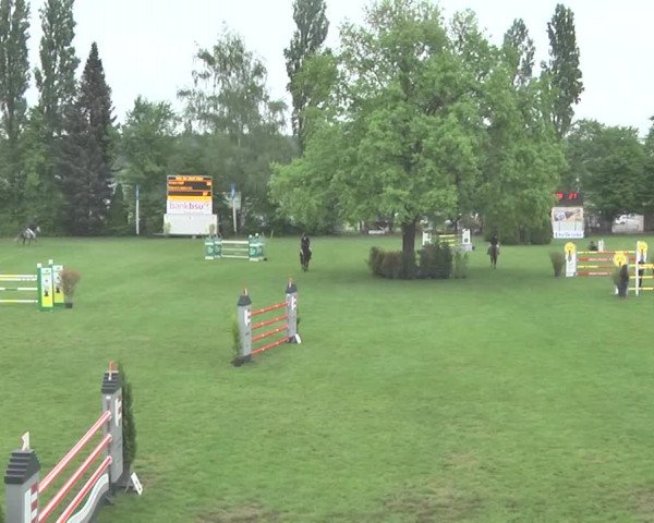 Reitturnier Uster 2018