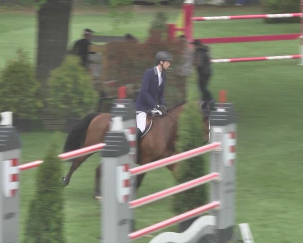 Reitturnier Uster 2018