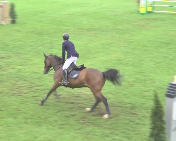 Reitturnier Uster 2018