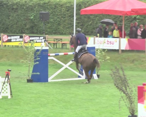 Reitturnier Uster 2018