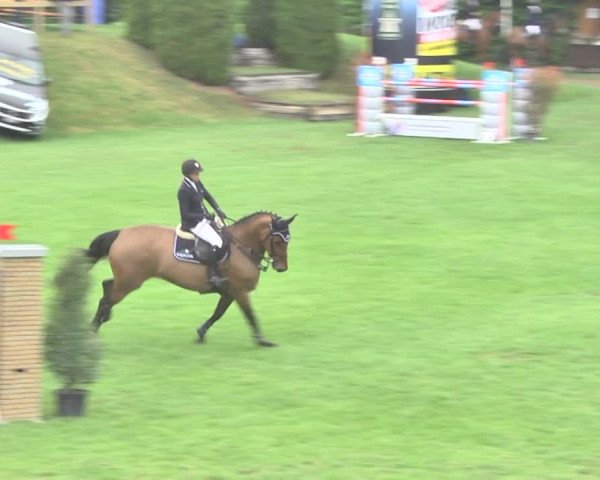 Reitturnier Uster 2018