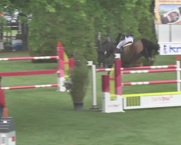 Reitturnier Uster 2018