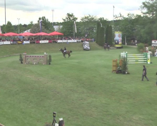 Reitturnier Uster 2018