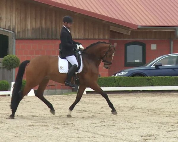 Reitturnier Baldham 2018