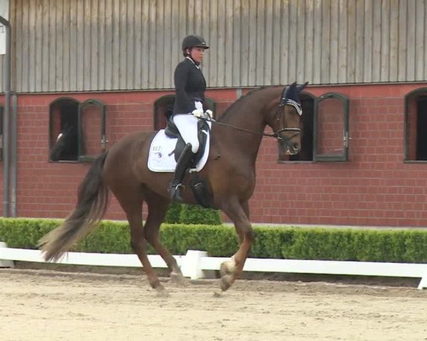 Reitturnier Baldham 2018