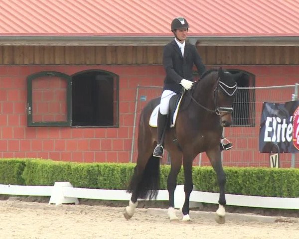 Reitturnier Baldham 2018
