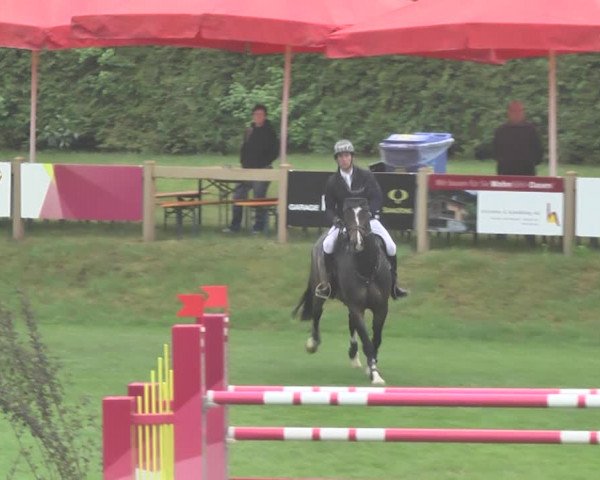 Reitturnier Uster 2018