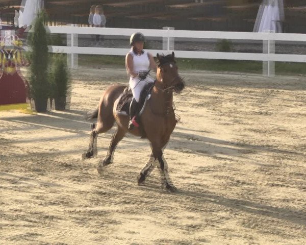Reitturnier Leutkirch-Diepoldshofen 2018