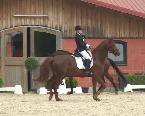 Reitturnier Baldham 2018