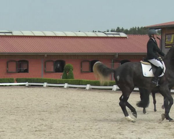 Reitturnier Baldham 2018