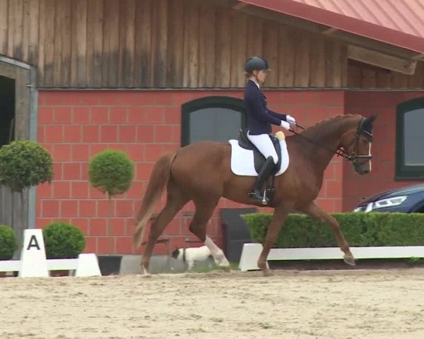 Reitturnier Baldham 2018