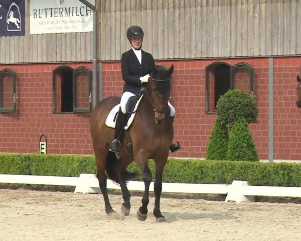 Reitturnier Baldham 2018