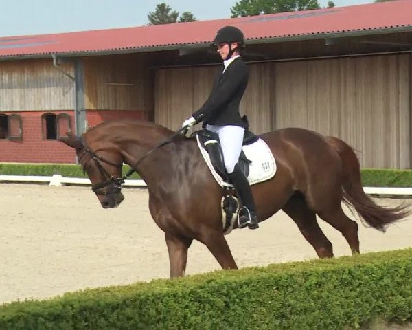 Reitturnier Baldham 2018