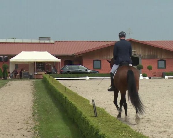 Reitturnier Baldham 2018