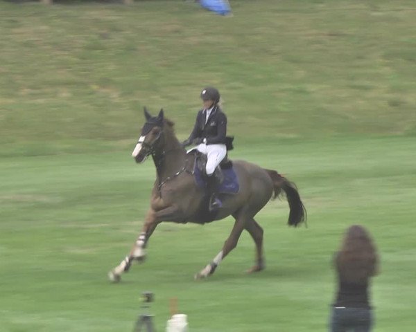 Reitturnier Uster 2018