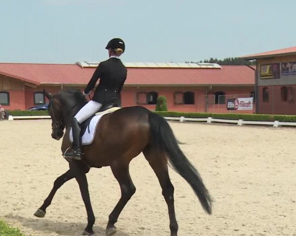 Reitturnier Baldham 2018