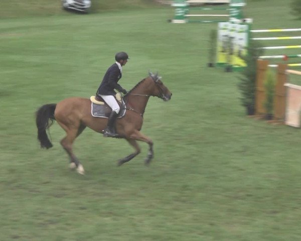 Reitturnier Uster 2018