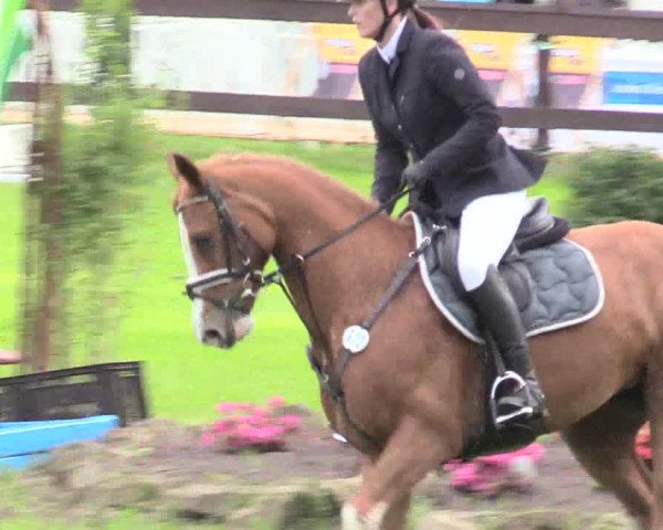 Reitturnier Meppen 2018