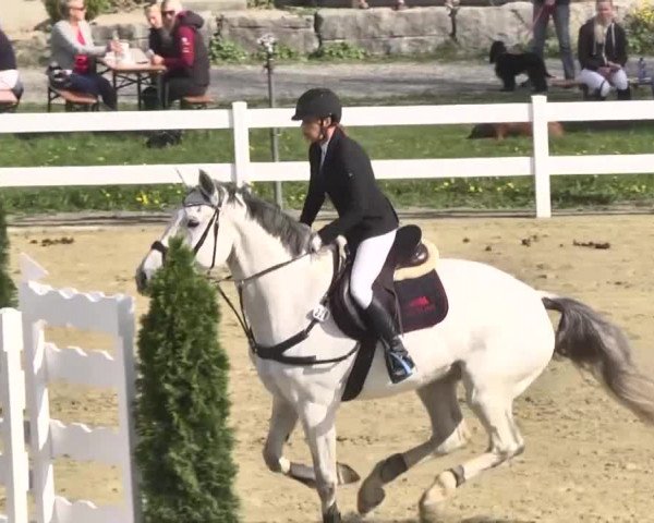 Reitturnier Leutkirch-Diepoldshofen 2018