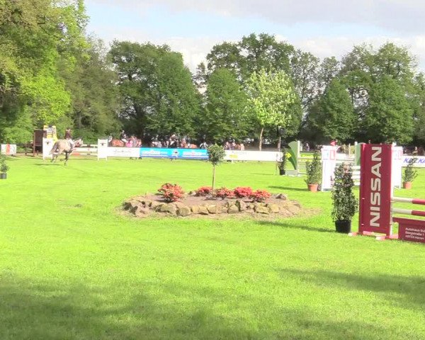Reitturnier Meppen 2018