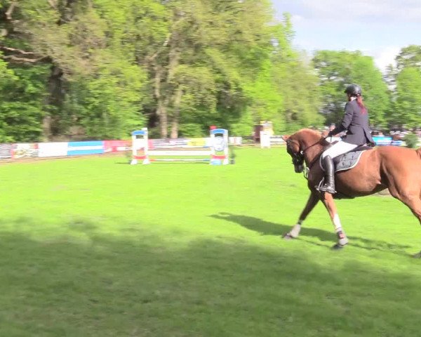 Reitturnier Meppen 2018