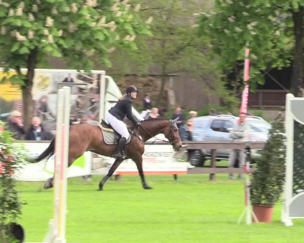 Reitturnier Meppen 2018