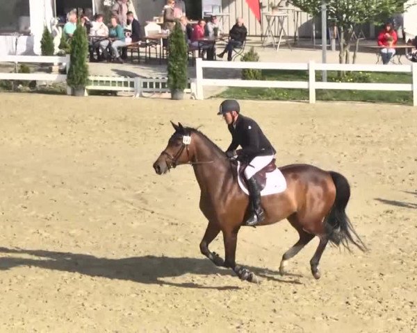Reitturnier Leutkirch-Diepoldshofen 2018