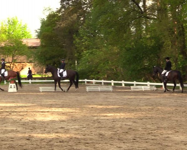Reitturnier Meppen 2018
