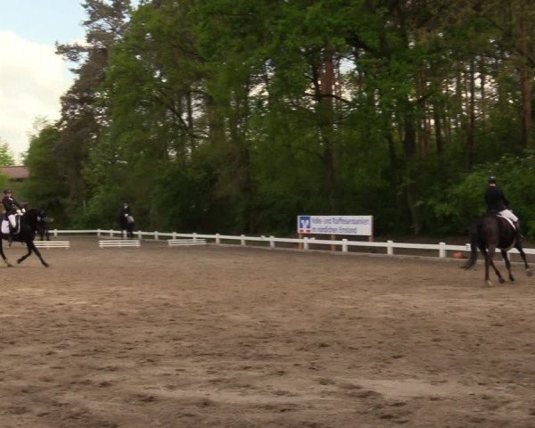 Reitturnier Meppen 2018