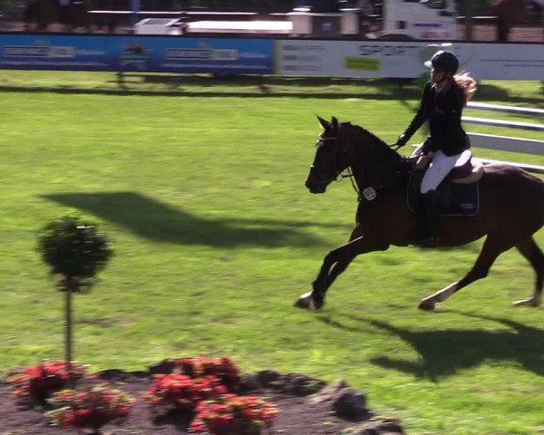 Reitturnier Meppen 2018