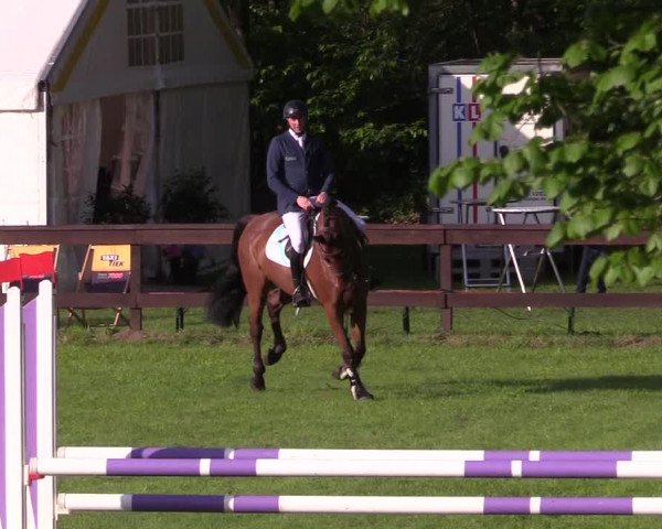 Reitturnier Meppen 2018