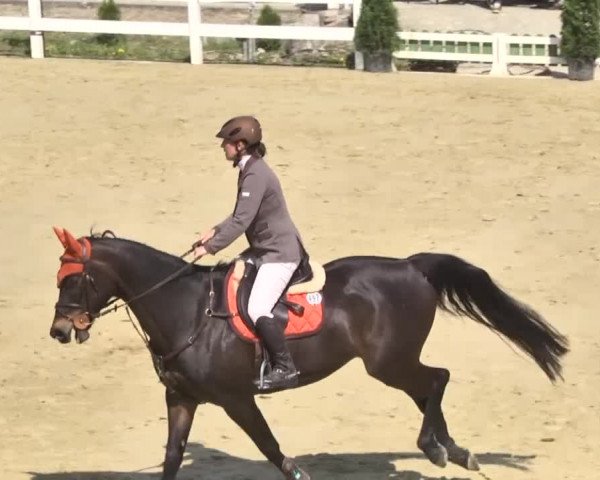 Reitturnier Leutkirch-Diepoldshofen 2018