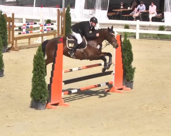 Reitturnier Leutkirch-Diepoldshofen 2018
