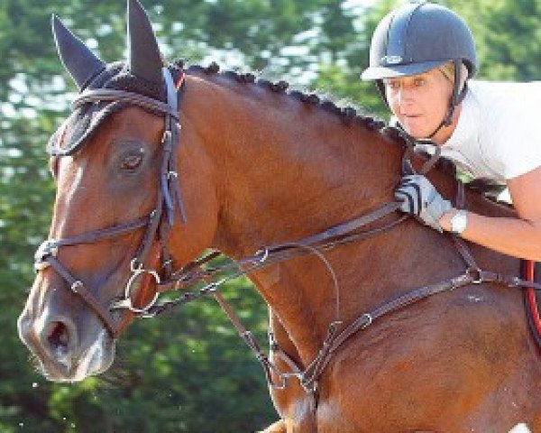 Zuchtstute Axanne S (Belgisches Warmblut, 2000, von Nonstop)