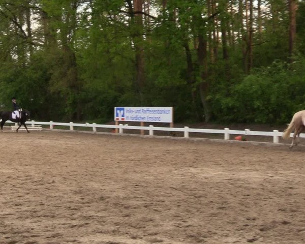 Reitturnier Meppen 2018