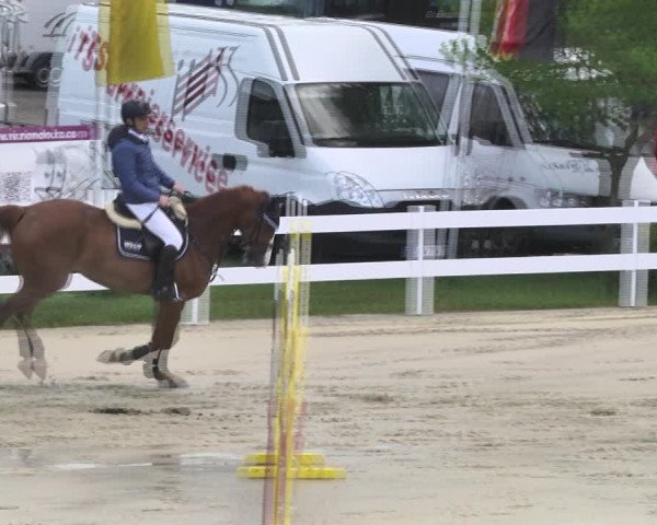 Reitturnier Leutkirch-Diepoldshofen 2018