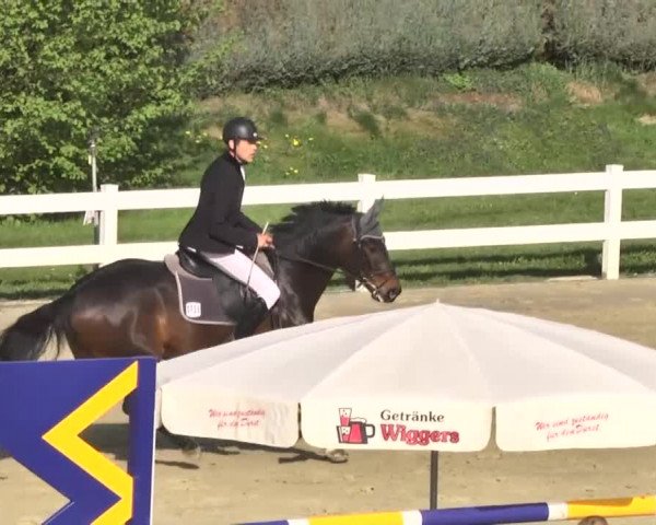 Reitturnier Leutkirch-Diepoldshofen 2018