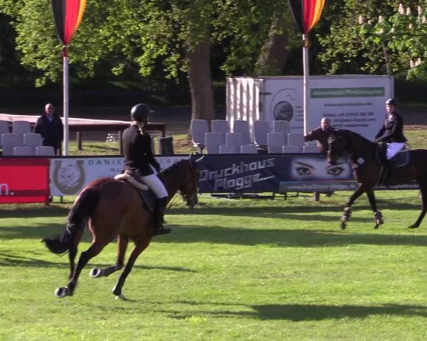 Reitturnier Meppen 2018