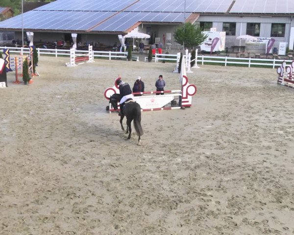 Reitturnier Leutkirch-Diepoldshofen 2018